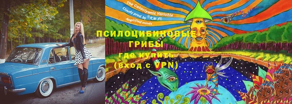 герыч Алексин
