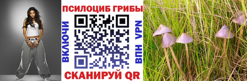 Псилоцибиновые грибы Psilocybe  закладка  Апатиты 