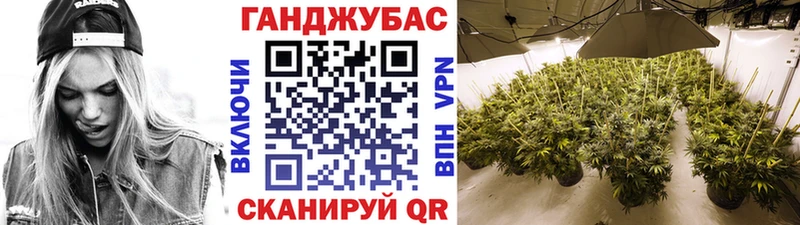 Марихуана марихуана  продажа наркотиков  Апатиты 